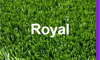 דשא סינטטי - רויאל Royal