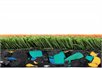 PLAYGRASS