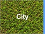דשא סינטטי - סיטי City