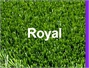 דשא סינטטי - רויאל Royal