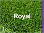 דשא סינטטי - רויאל Royal
