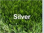 דשא סינטטי - סילבר Silver