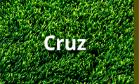 דשא סינטטי - קרוז Cruz
