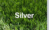דשא סינטטי - סילבר Silver