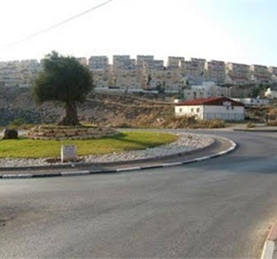 דשא סינטטי למוסדות ציבוריים 9