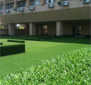 התקנת דשא סינטטי גג ציבורי במרכז
